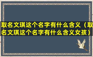 取名文琪这个名字有什么含义（取名文琪这个名字有什么含义女孩）